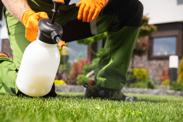 Professional Pest Control in Hansville, WA